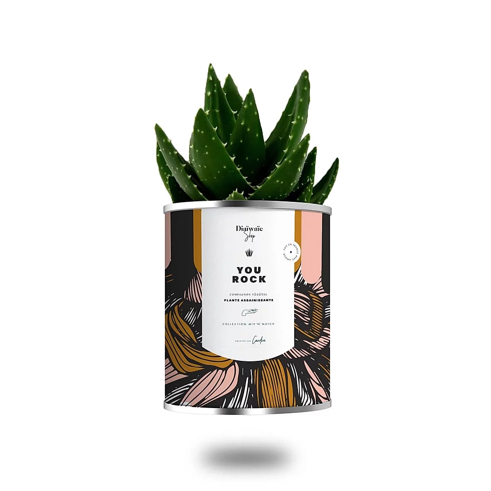 Cactus ou plante pot petit modèle you rock Cactus ou plante pot petit modèle you rock