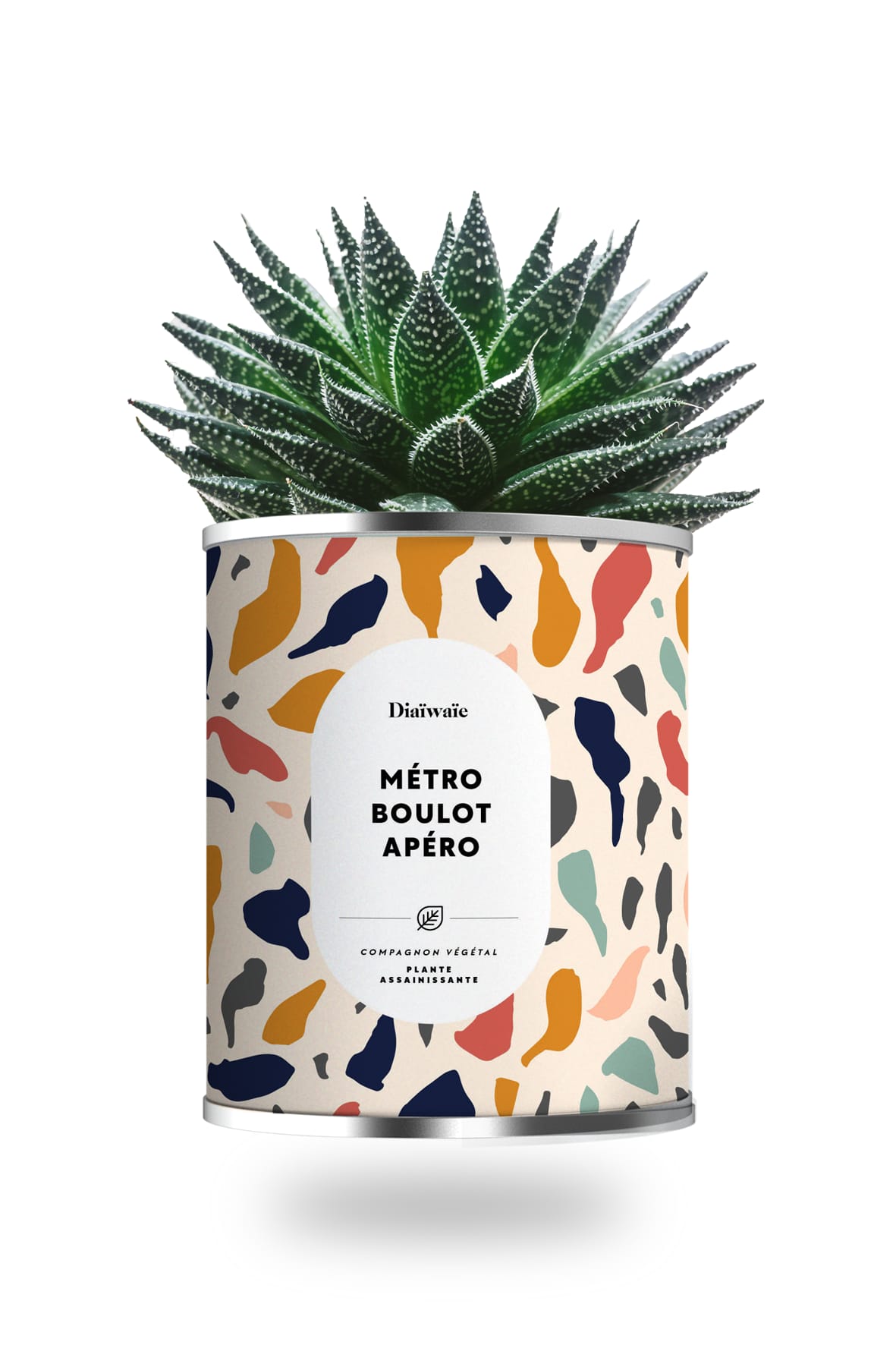 Cactus ou plante pot grand modèle métro boulot apéro Cactus ou plante pot grand modèle métro boulot apéro