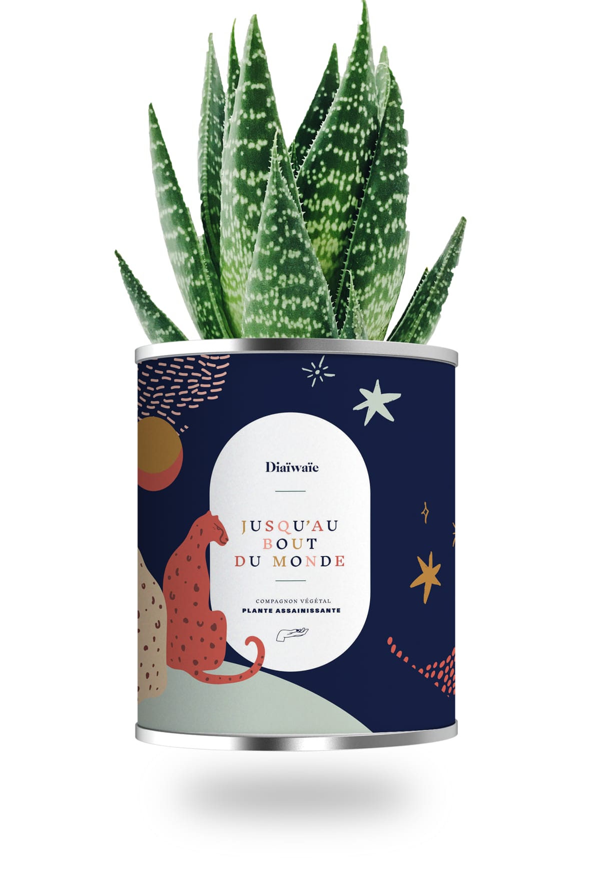 Cactus ou plante pot grand modèle jusqu'au bout du monde Cactus ou plante pot grand modèle jusqu'au bout du monde