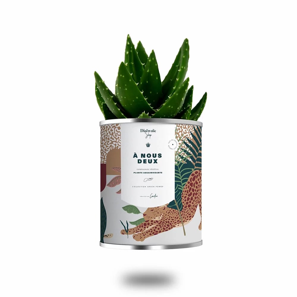 Cactus ou plante pot grand modèle à nous deux Cactus ou plante pot grand modèle à nous deux