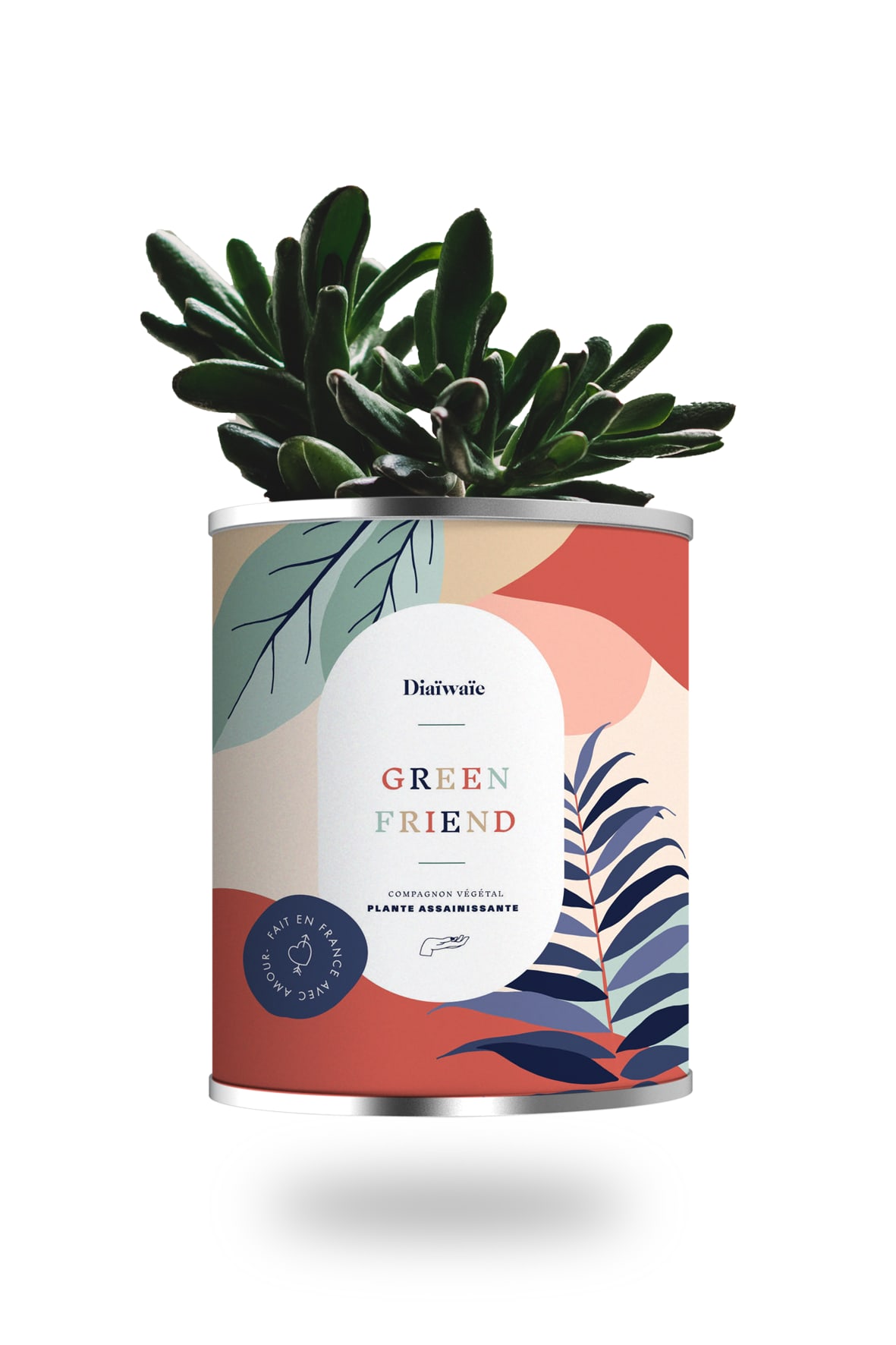 Cactus ou plante pot grand modèle green friend Cactus ou plante pot grand modèle green friend