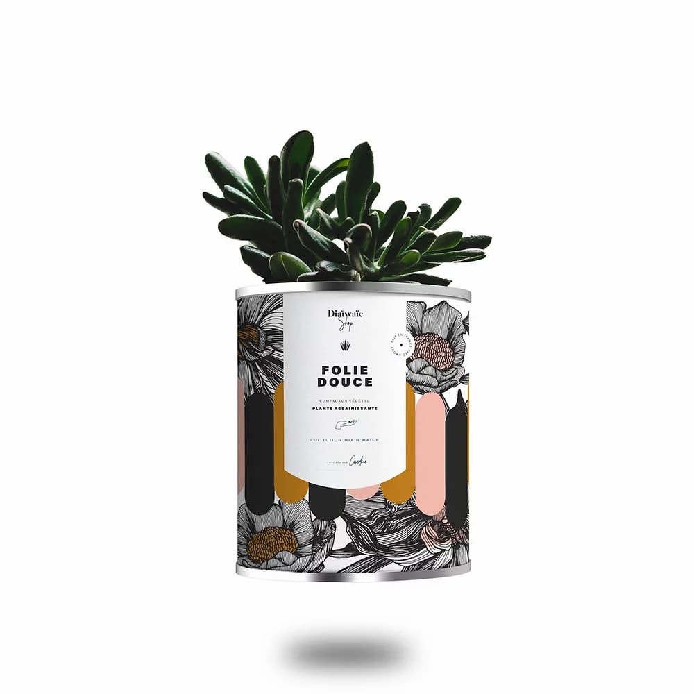 Cactus ou plante pot grand modèle folie douce Cactus ou plante pot grand modèle folie douce