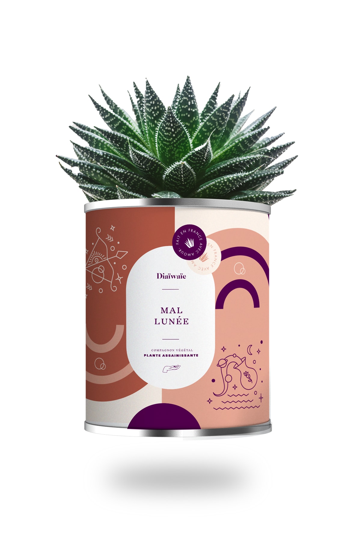 Cactus ou plante pot grand modèle mal lunée Cactus ou plante pot grand modèle mal lunée