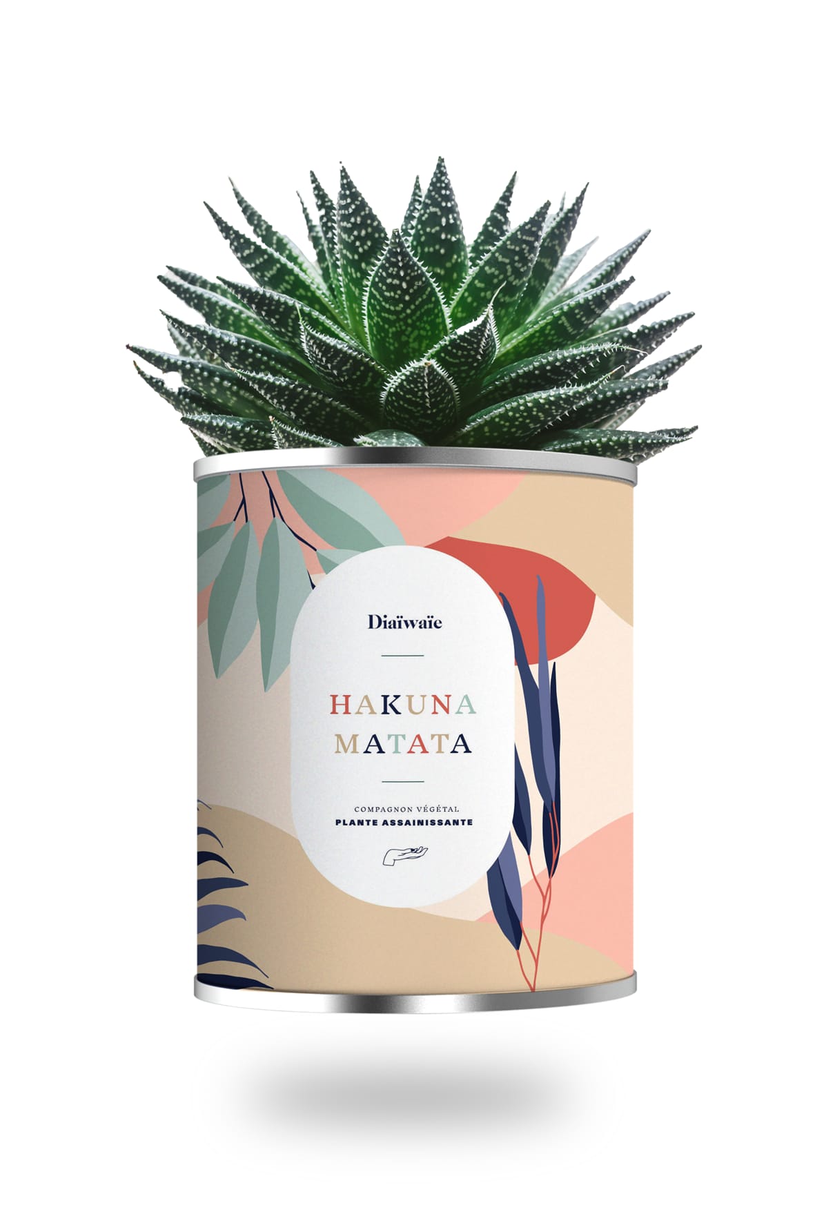 Cactus ou plante pot grand modèle Hakuna Matata Cactus ou plante pot grand modèle Hakuna Matata