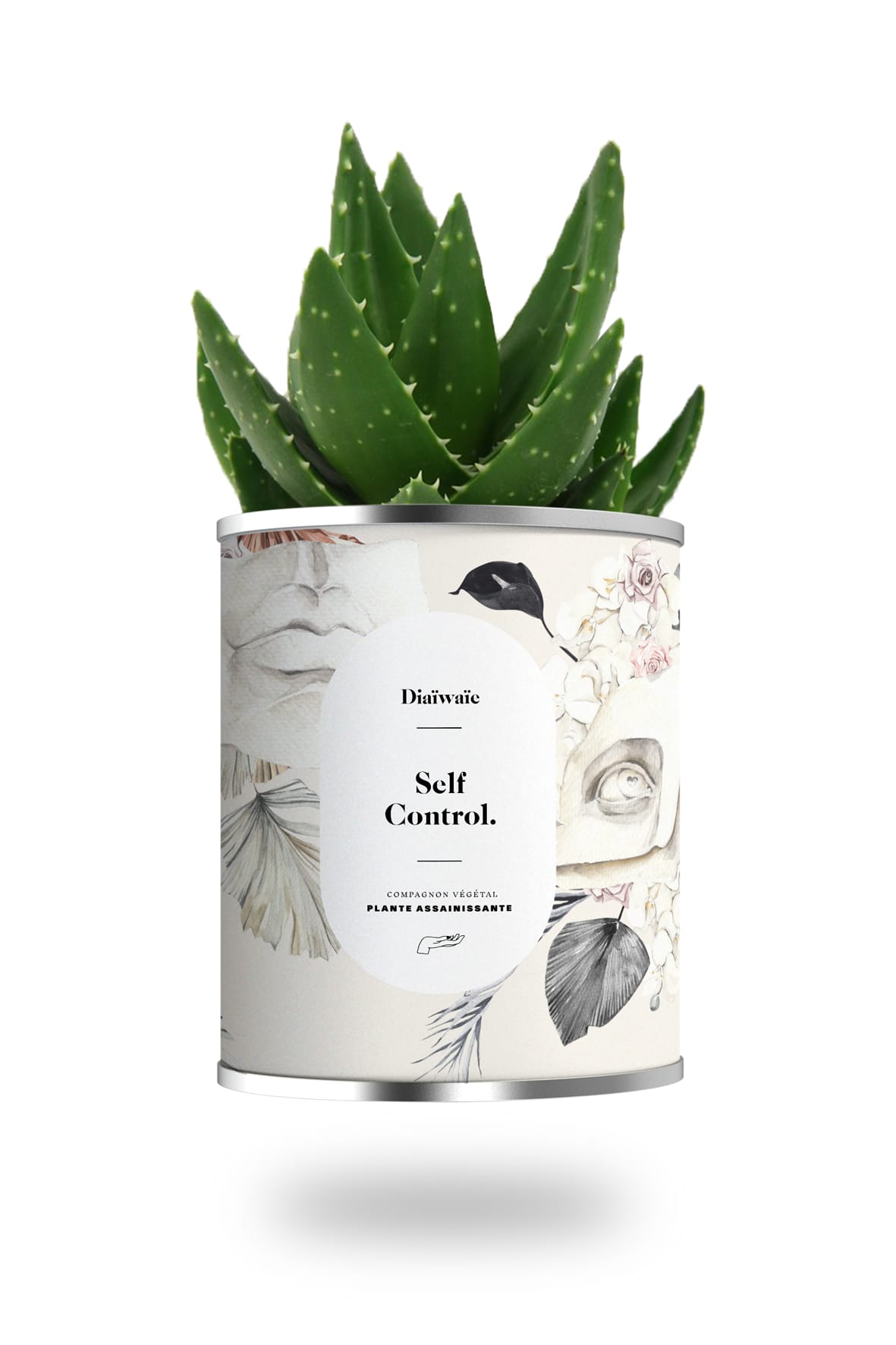 Cactus ou plante pot petit modèle self control Cactus ou plante pot petit modèle self control