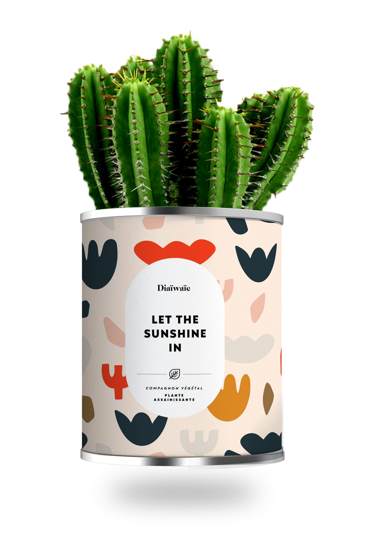 Cactus ou plante pot grand modèle let the sunshine in Cactus ou plante pot grand modèle let the sunshine in