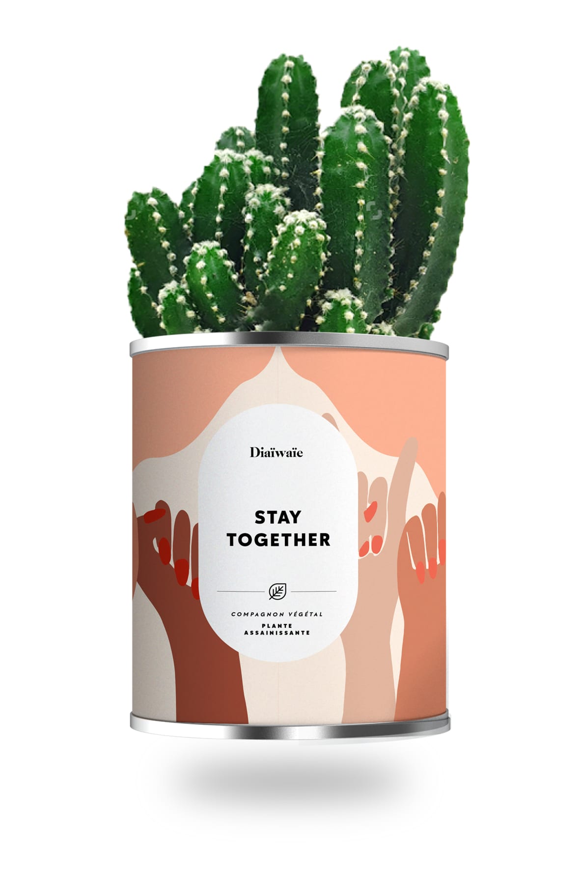 Cactus ou plante pot petit modèle stay together Cactus ou plante pot petit modèle stay together