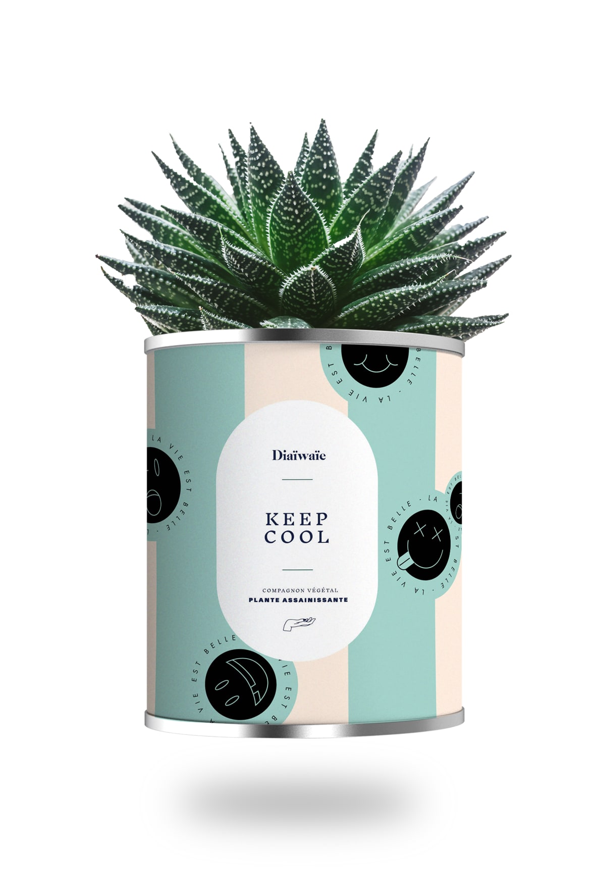 Cactus ou plante pot grand modèle keep cool Cactus ou plante pot grand modèle keep cool