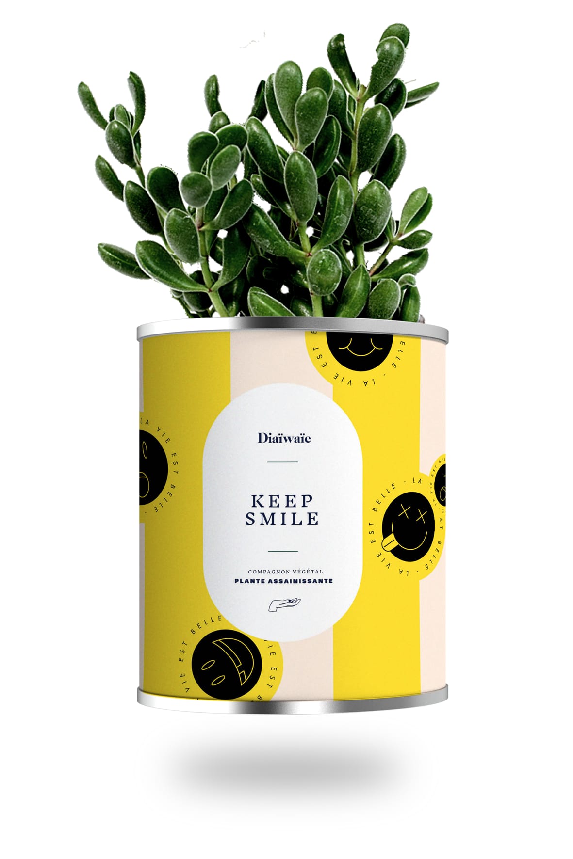 Cactus ou plante pot grand modèle keep smile Cactus ou plante pot grand modèle keep smile