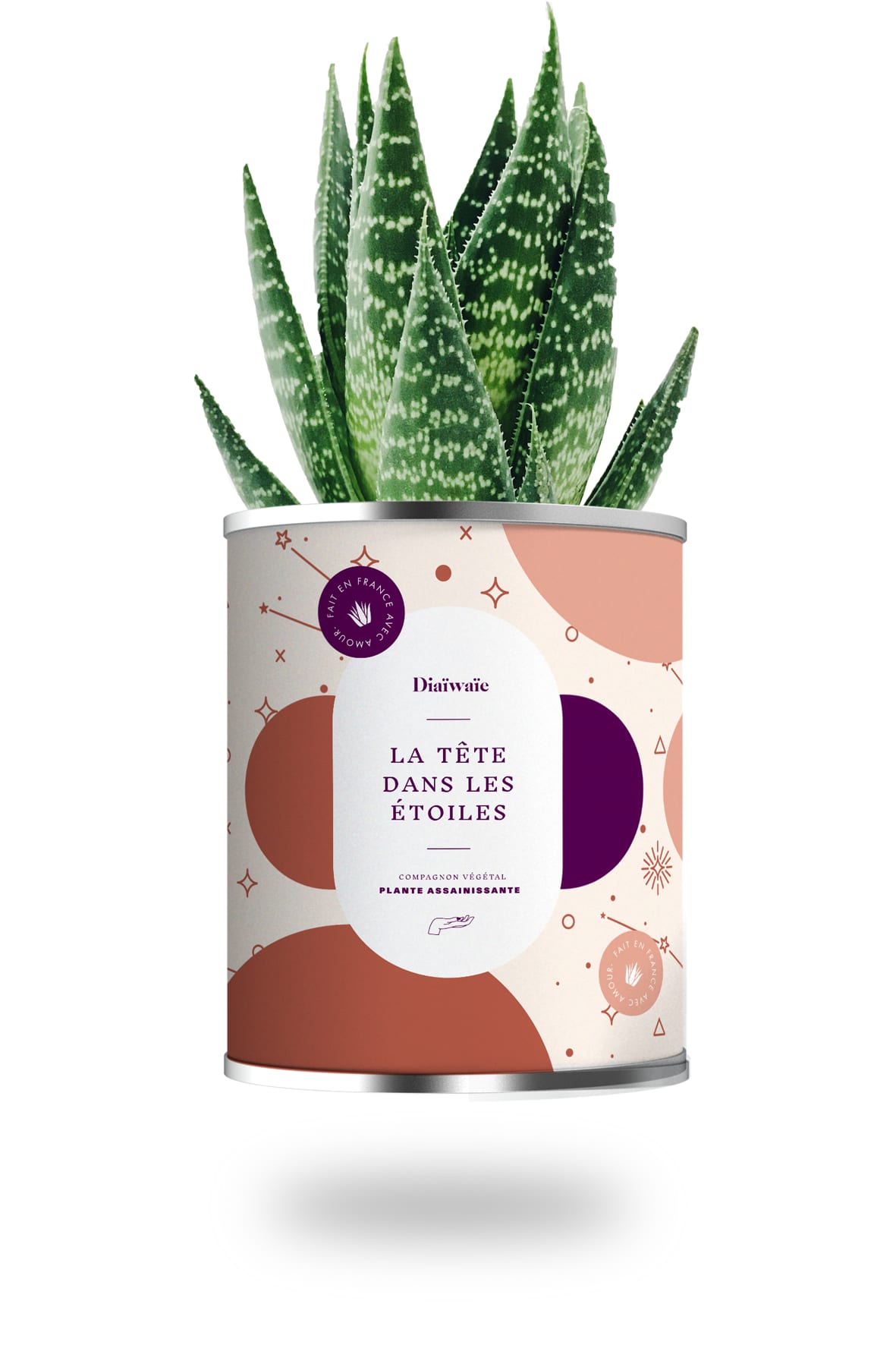 Cactus ou plante pot grand modèle la tête dans les étoiles Cactus ou plante pot grand modèle la tête dans les étoiles