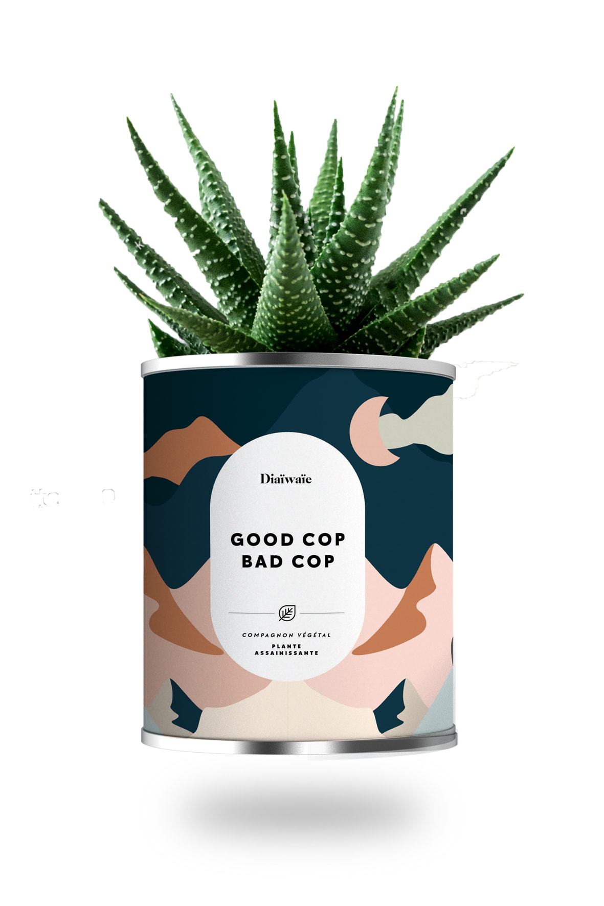 Cactus ou plante pot grand modèle good cop bad cop Cactus ou plante pot grand modèle good cop bad cop