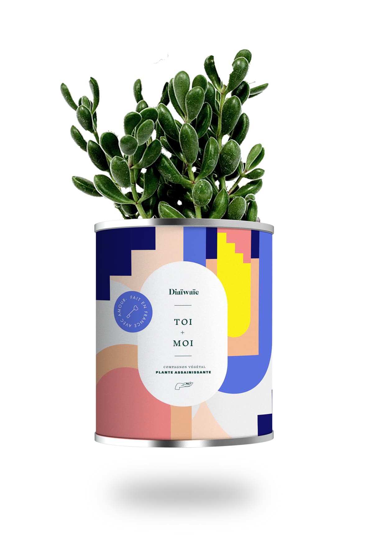 Cactus ou plante pot petit modèle toi + moi Cactus ou plante pot petit modèle toi + moi