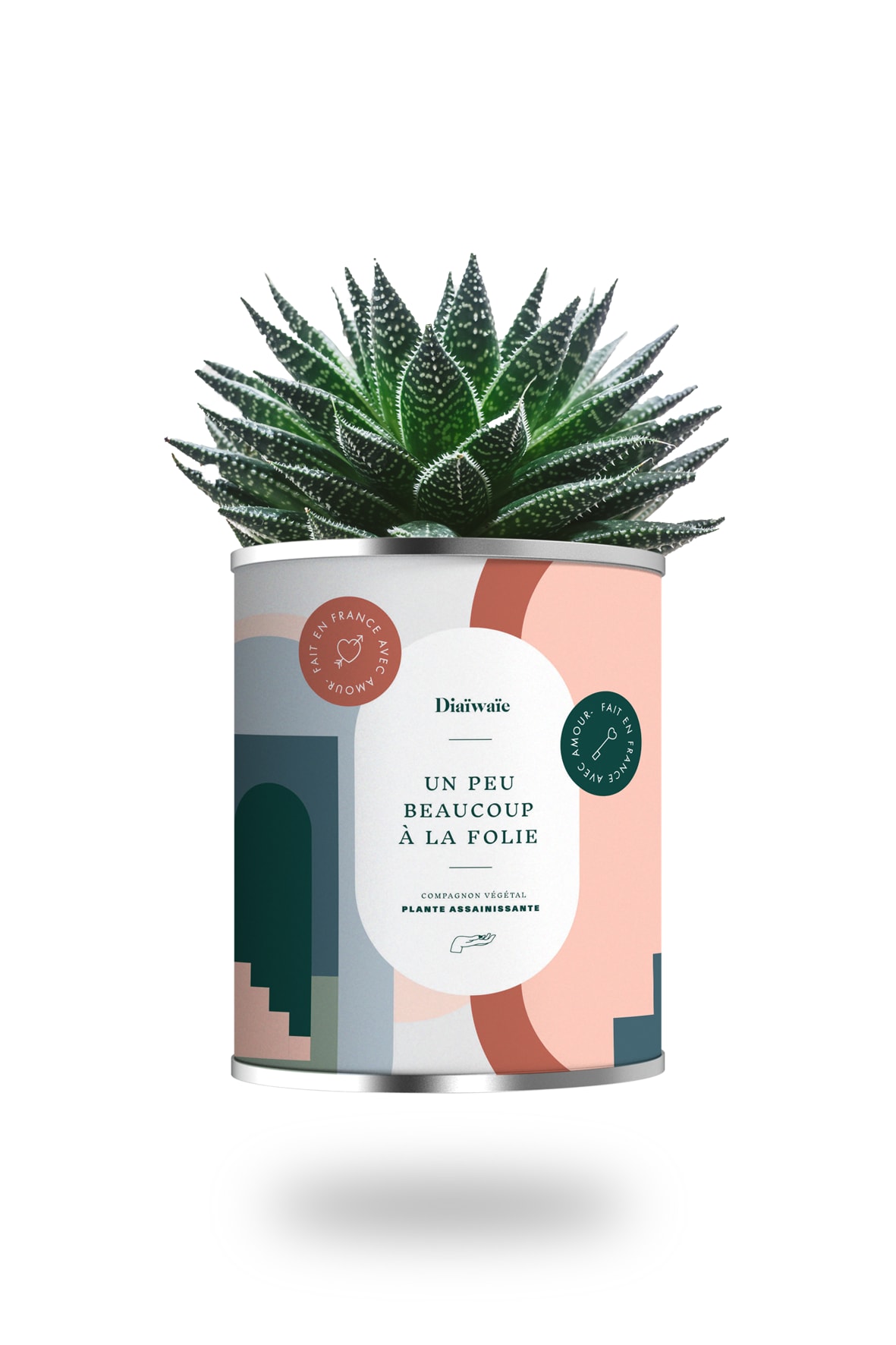 Cactus ou plante pot grand modèle à la folie Cactus ou plante pot grand modèle à la folie