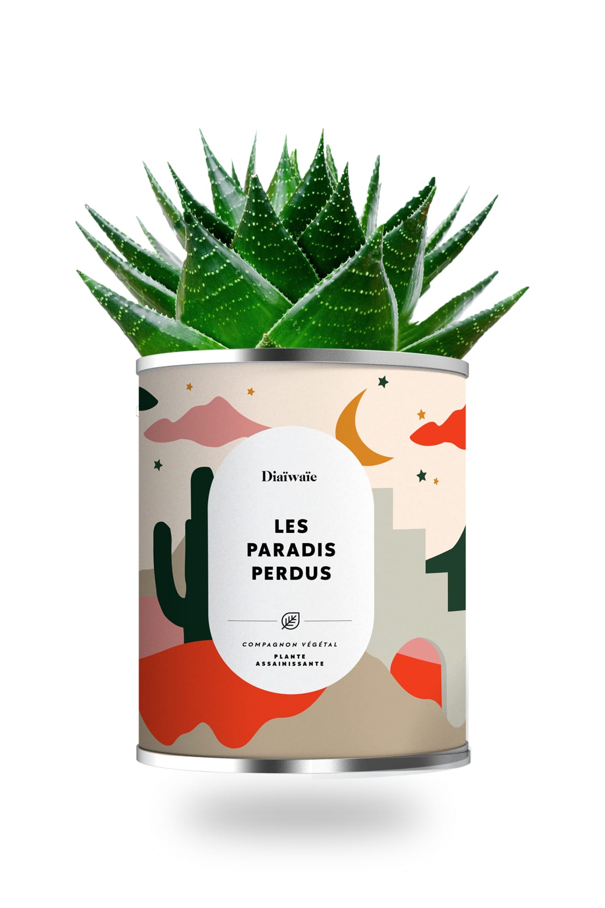 Cactus ou plante pot petit modèle paradis perdus Cactus ou plante pot petit modèle paradis perdus