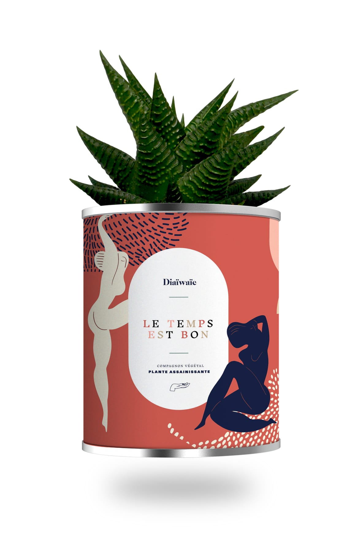 Cactus ou plante pot grand modèle le temps est bon Cactus ou plante pot grand modèle le temps est bon