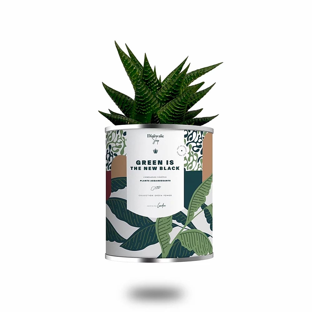 Cactus ou plante pot grand modèle Green is the new black Cactus ou plante pot grand modèle Green is the new black