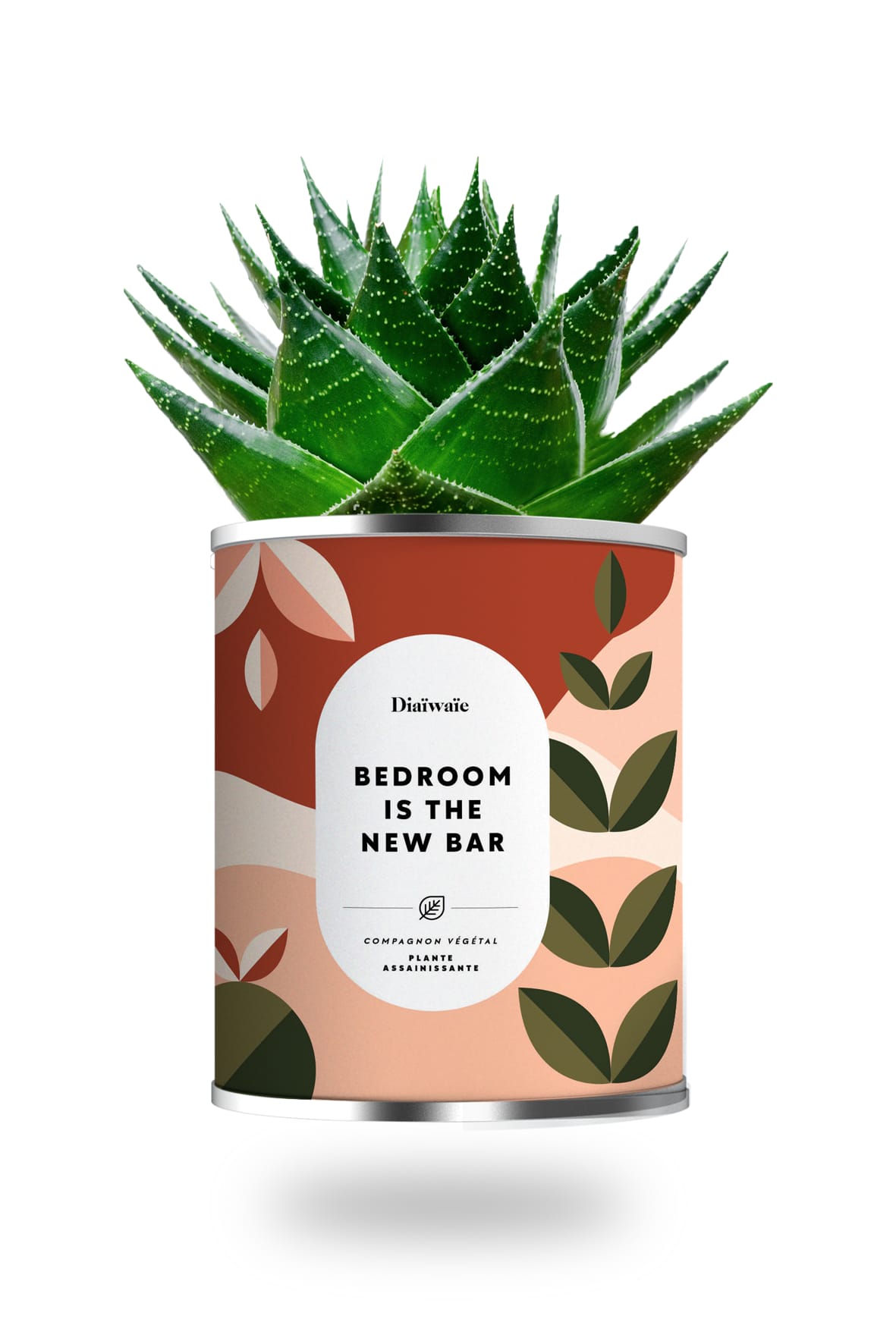 Cactus ou plante pot grand modèle bedroom is the new bar Cactus ou plante pot grand modèle bedroom is the new bar