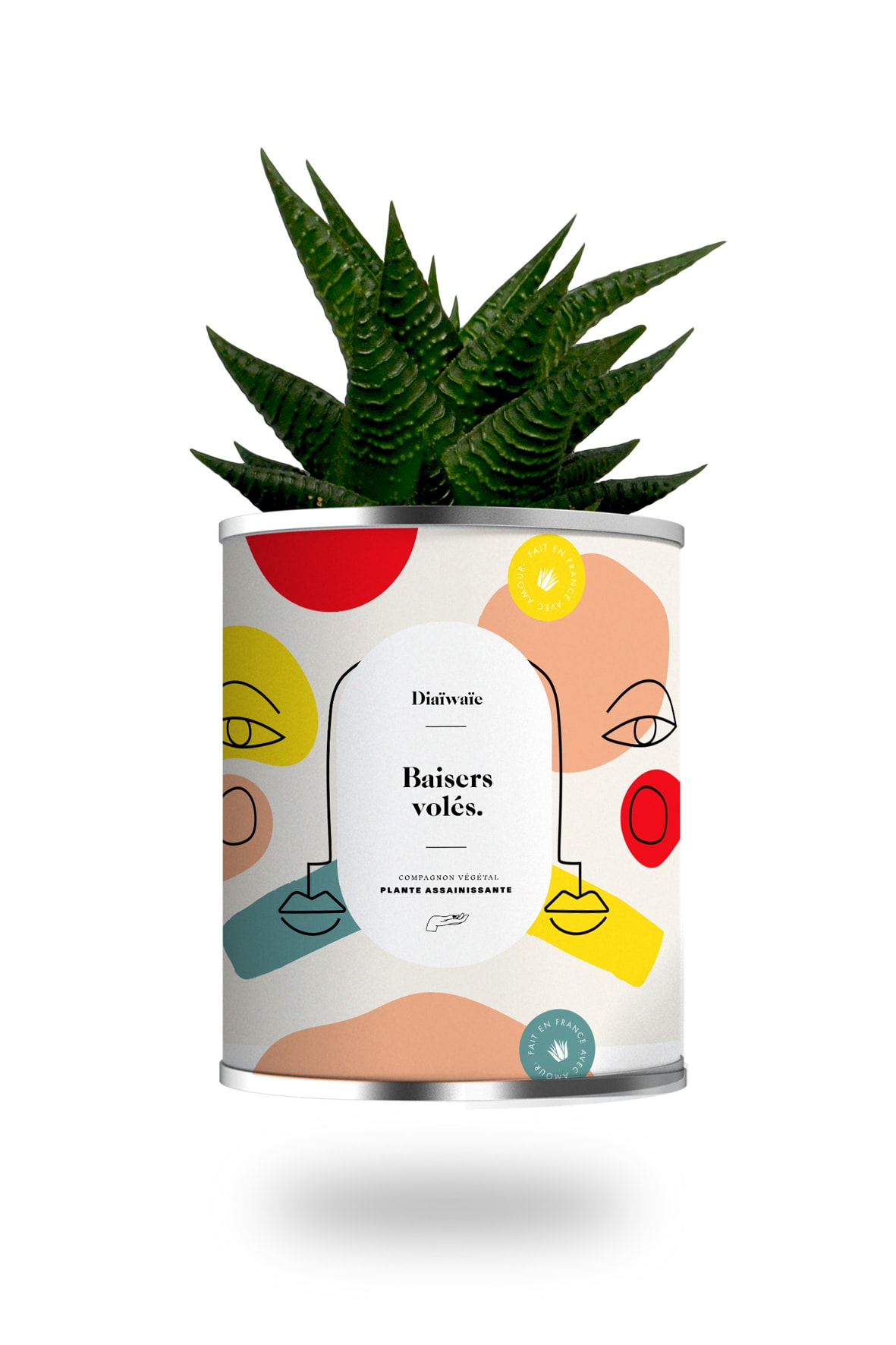 Cactus ou plante pot grand modèle baisers volés Cactus ou plante pot grand modèle baisers volés