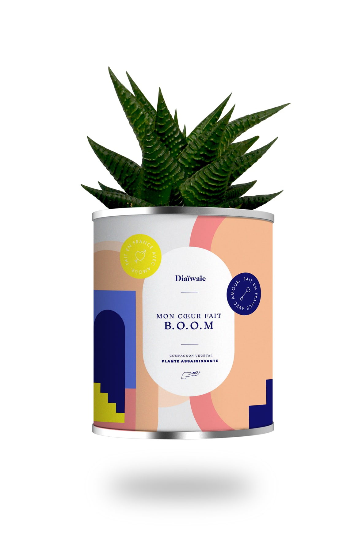 Cactus ou plante pot grand modèle mon coeur fait boom Cactus ou plante pot grand modèle mon coeur fait boom