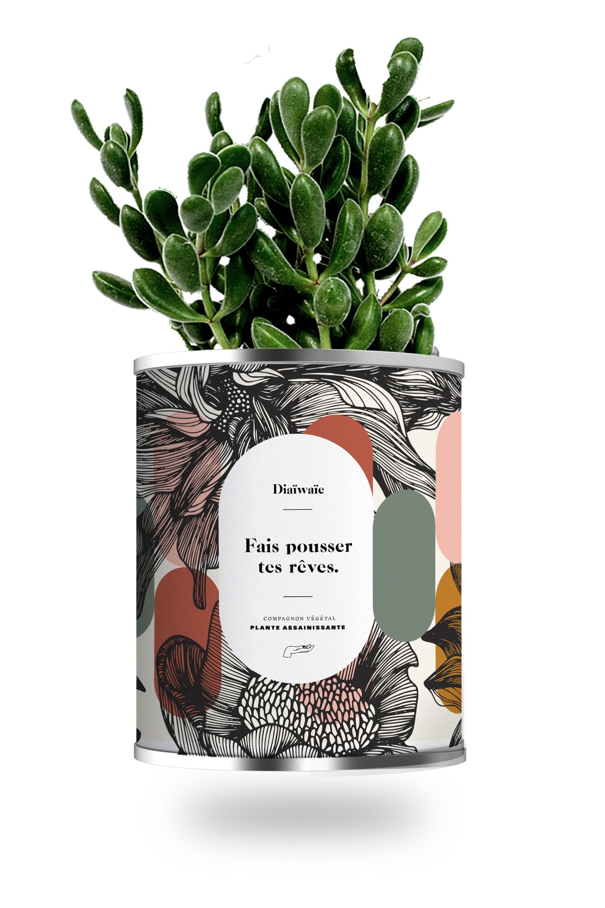Cactus ou plante pot grand modèle fais pousser tes rêves Cactus ou plante pot grand modèle fais pousser tes rêves