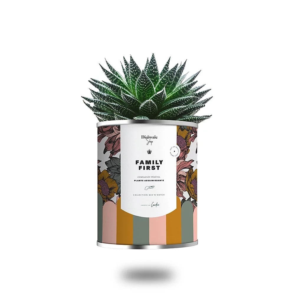 Cactus ou plante pot grand modèle family first Cactus ou plante pot grand modèle family first
