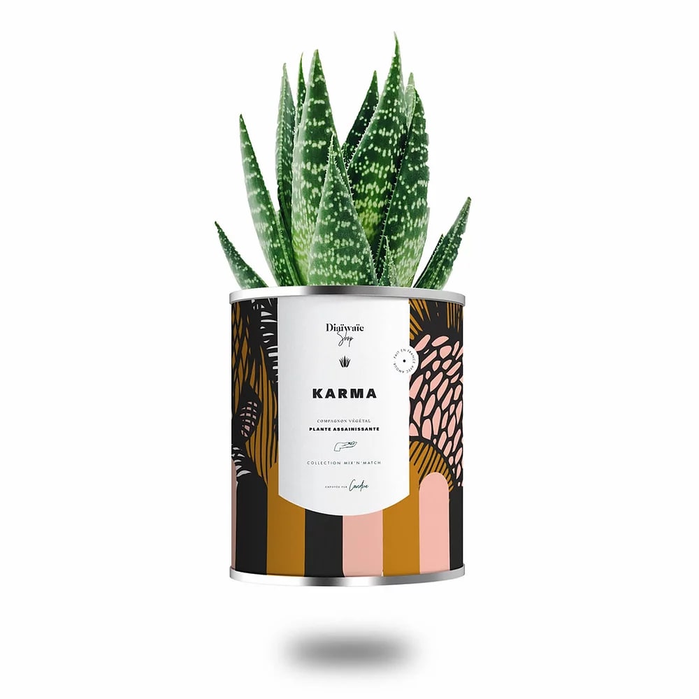 Cactus ou plante pot grand modèle karma Cactus ou plante pot grand modèle karma