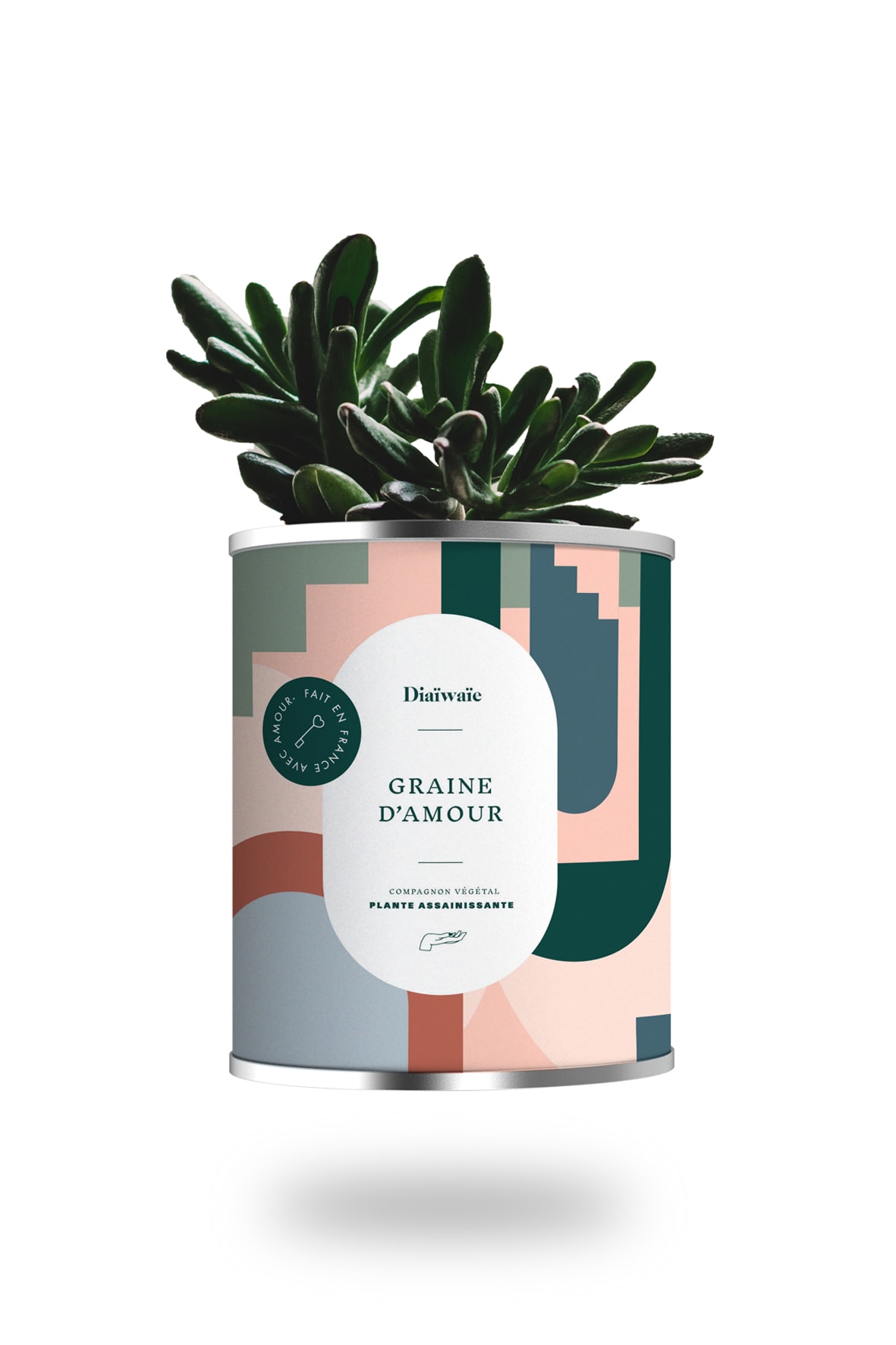 Cactus ou plante pot grand modèle graine d'amour Cactus ou plante pot grand modèle graine d'amour
