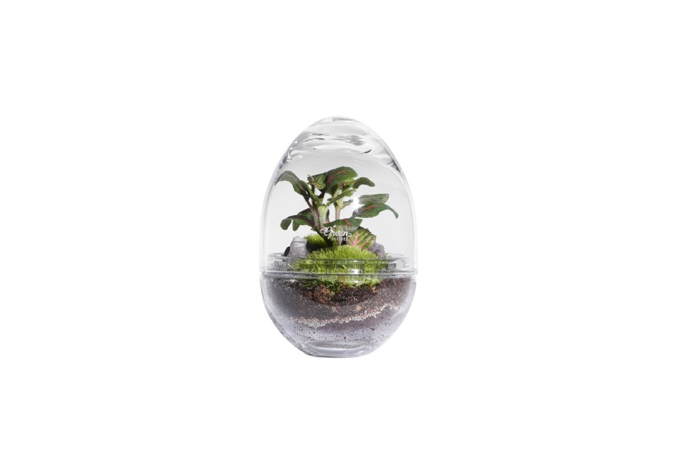 Terrarium medium jungle lab Terrarium medium jungle lab