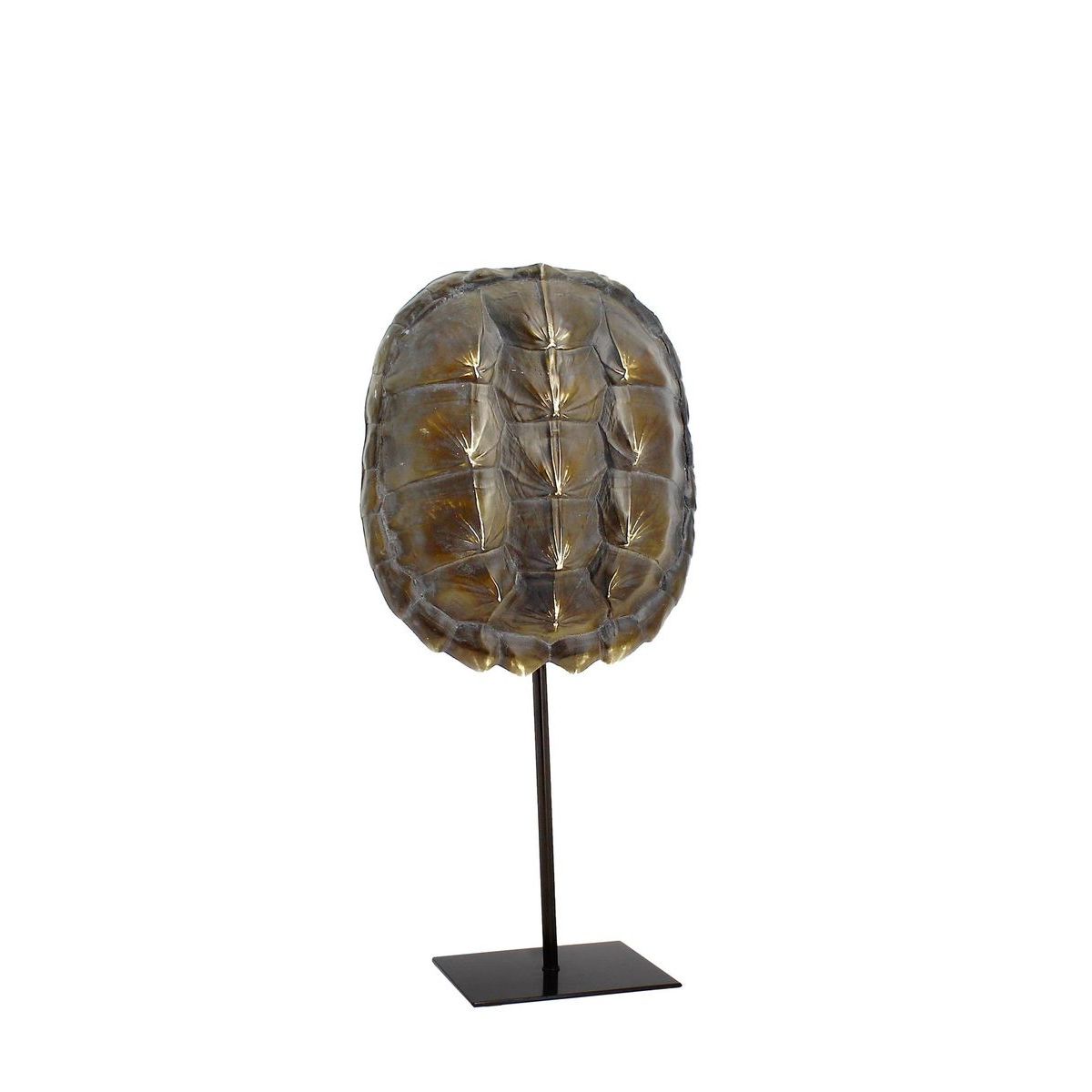 Carapace de tortue en résine sur socle en métal Carapace de tortue en résine sur socle en métal