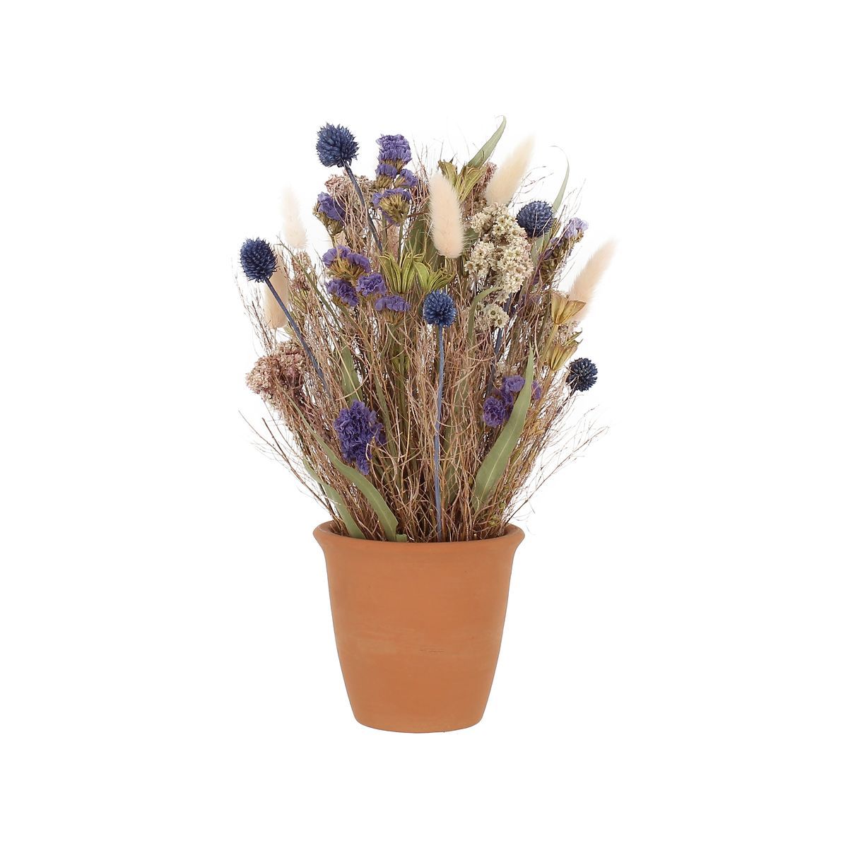 Composition fleurs séchées coloris chardon pot terracotta Composition fleurs séchées coloris chardon pot terracotta