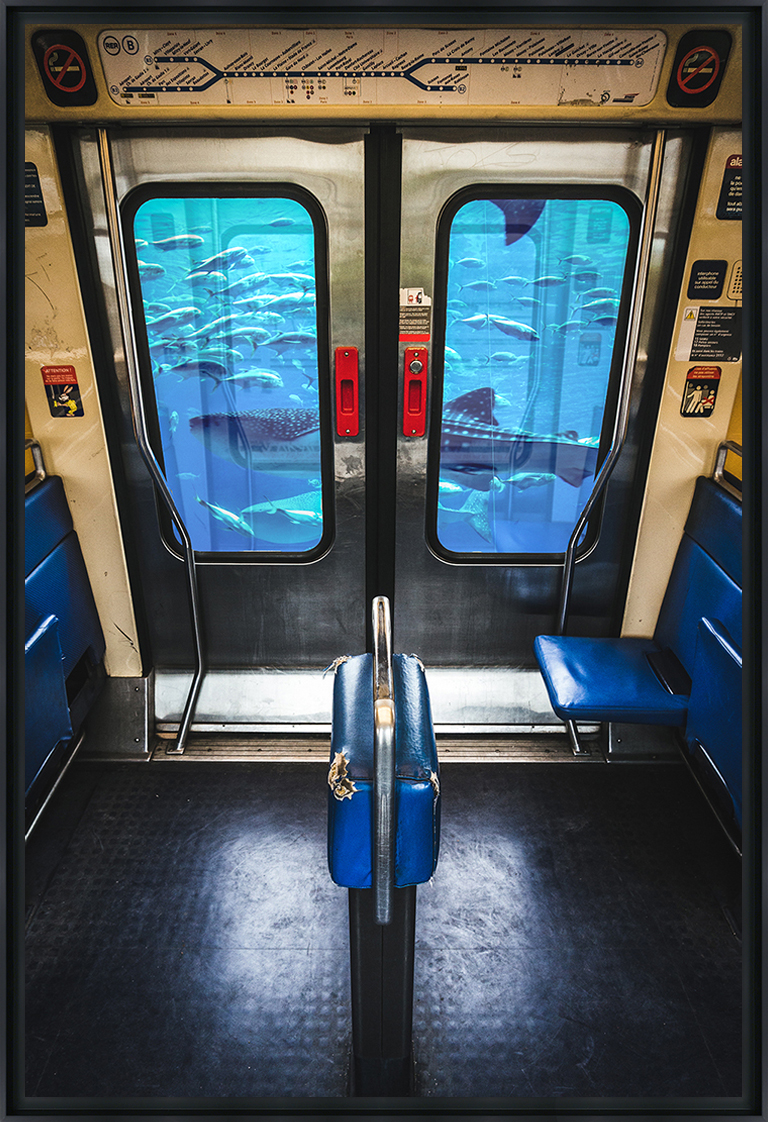 RER BOCAL - Photo encadrée de Mathieu Alemany 60x90 cm (photo) RER BOCAL - Photo encadrée de Mathieu Alemany 60x90 cm