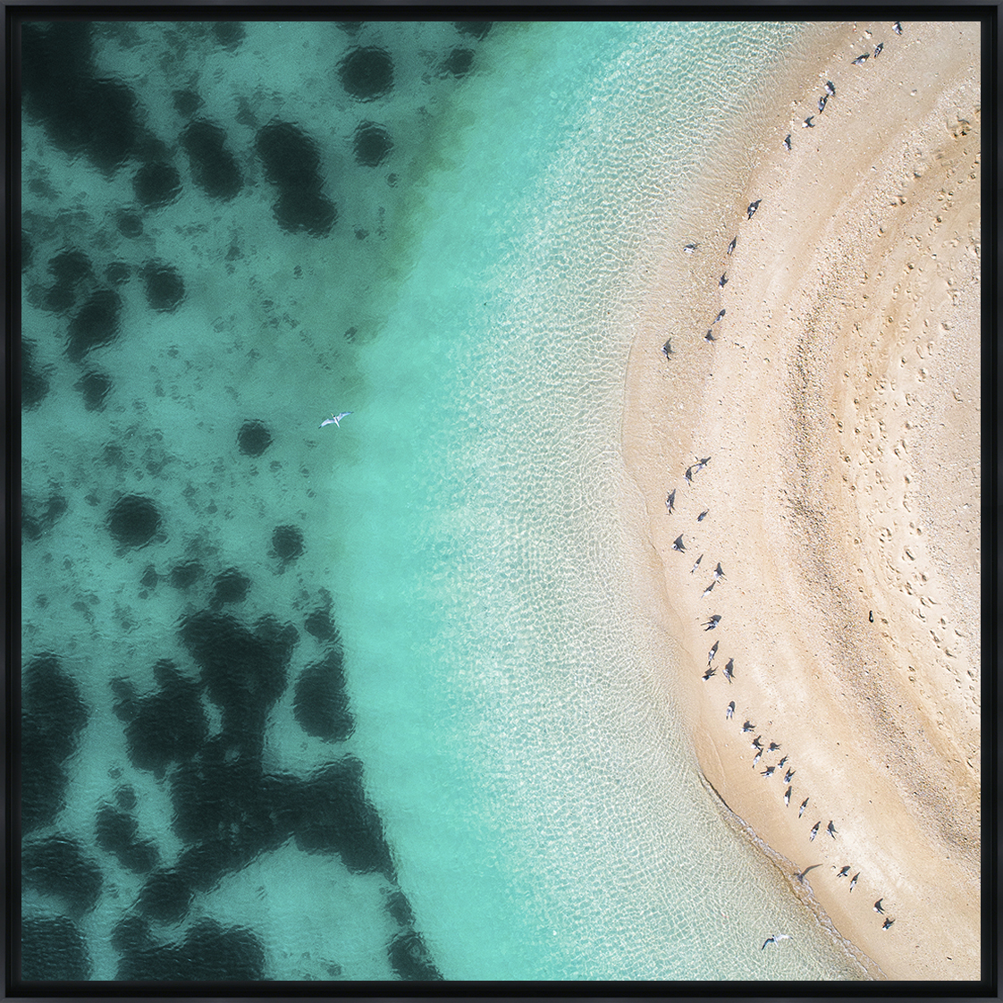 HOT SUMMER - Photo encadrée de Pixopolitan Découvertes 45x45 cm HOT SUMMER - Photo encadrée de Pixopolitan Découvertes 45x45 cm
