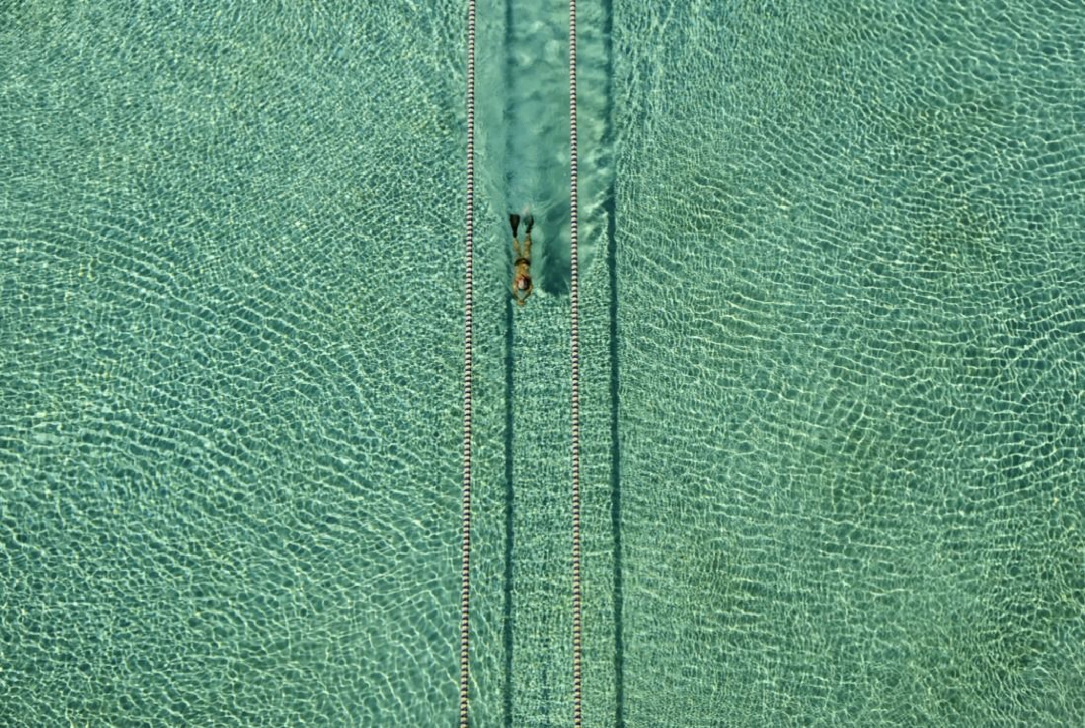SWIMMER - Photo de Hossein Nikzad Amoli 60x40 cm SWIMMER - Photo de Hossein Nikzad Amoli 60x40 cm