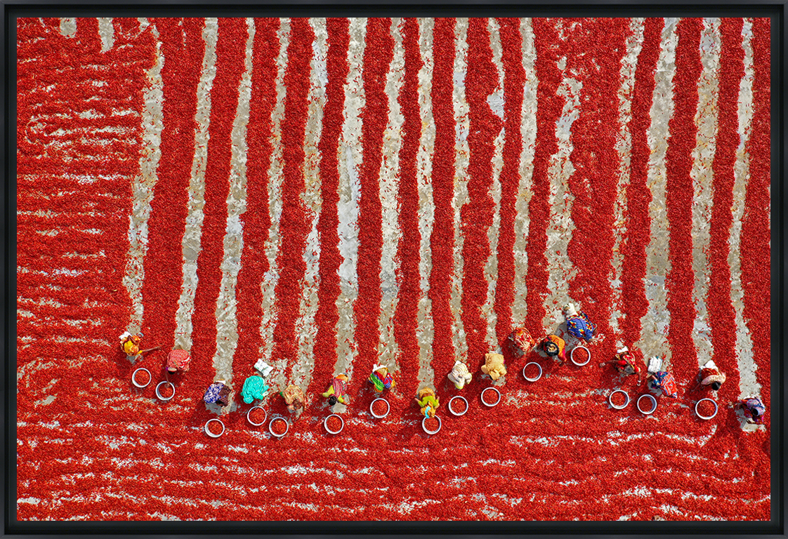 SÉCHAGE DES PIMENTS ROUGES - Photo encadrée de Pixopolitan 60x40 cm (photo) SÉCHAGE DES PIMENTS ROUGES - Photo encadrée de Pixopolitan 60x40 cm