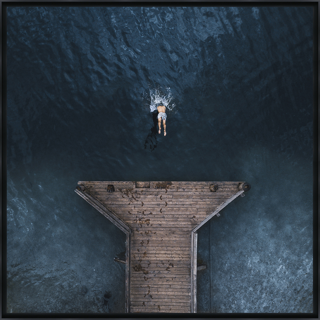 PLONGEON - Photo encadrée de Pixopolitan Découvertes 45x45 cm PLONGEON - Photo encadrée de Pixopolitan Découvertes 45x45 cm