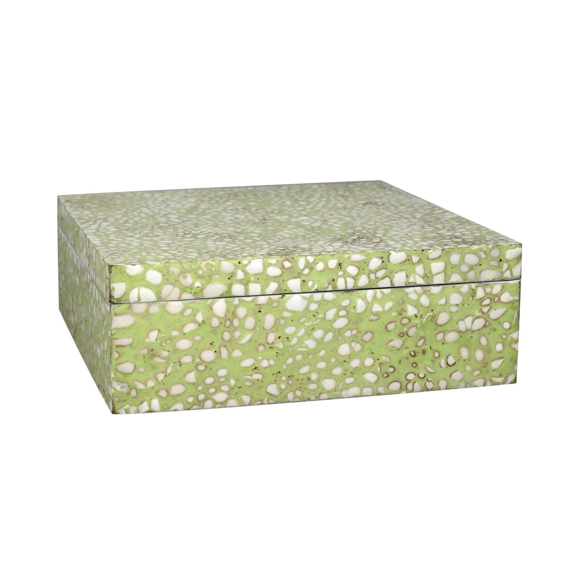 Boîte en coquille d'œuf vert Boîte en coquille d'œuf vert