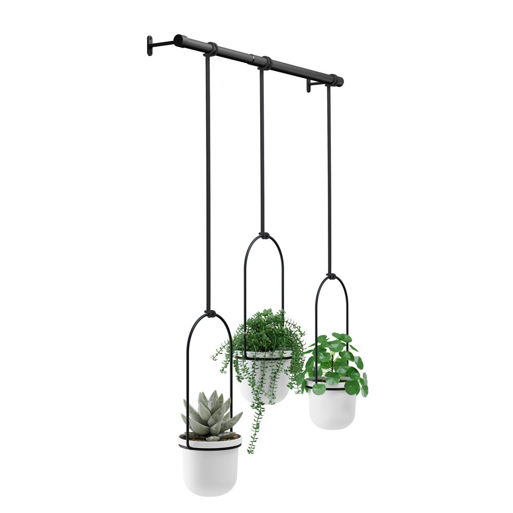 Lot de 3 pots suspendus triflora plastique noir