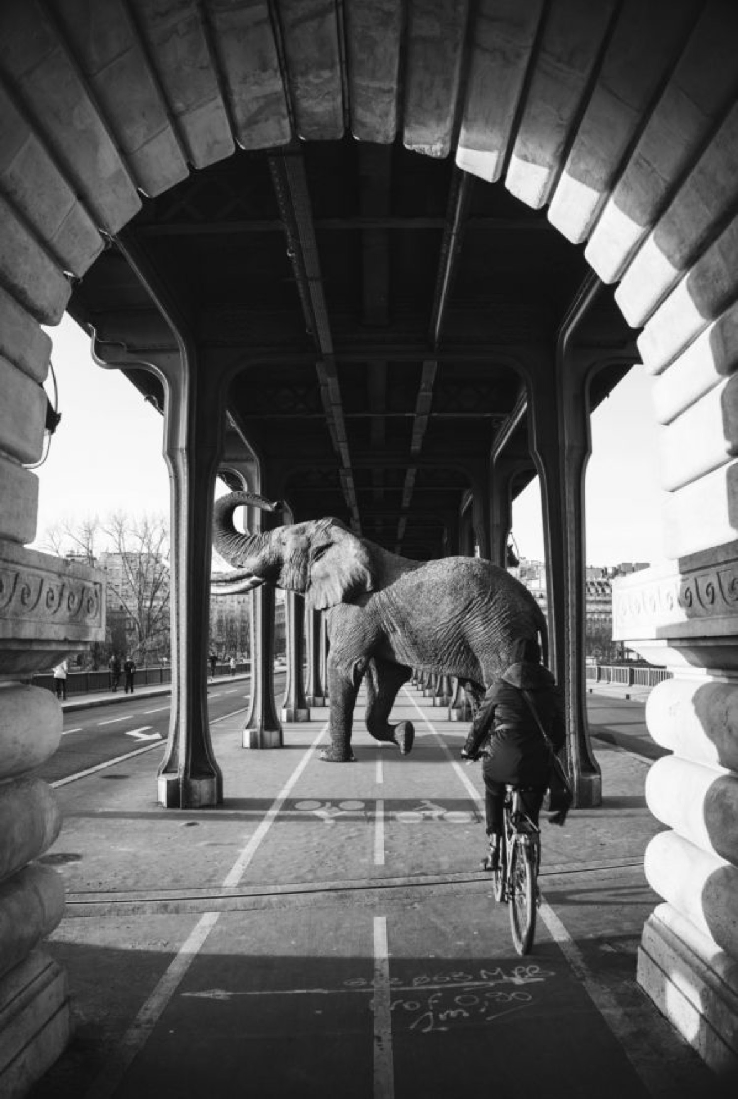 L'ÉLÉPHANT DE BIR HAKEIM - Photo de Mathieu Alemany 60x90 cm L'ÉLÉPHANT DE BIR HAKEIM - Photo de Mathieu Alemany 60x90 cm