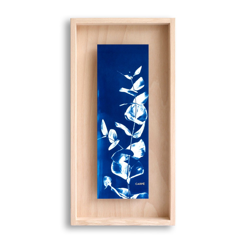 Cadre en bois cyanotype eucalyptus 40x20cm Cadre en bois cyanotype eucalyptus 40x20cm