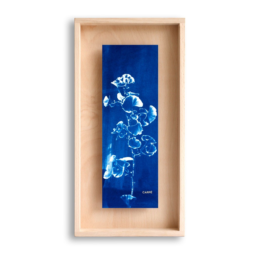 Cadre en bois cyanotype gingko 40x20cm Cadre en bois cyanotype gingko 40x20cm