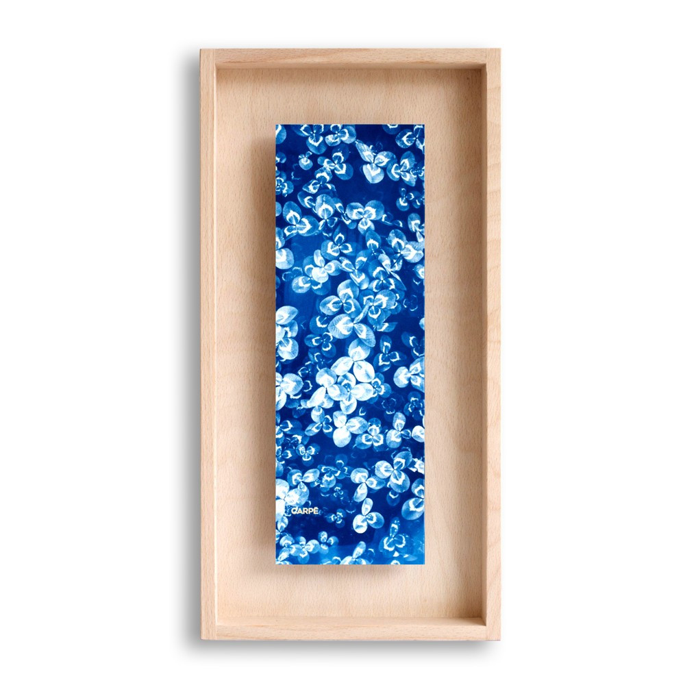 Cadre en bois cyanotype trèfle 40x20cm Cadre en bois cyanotype trèfle 40x20cm