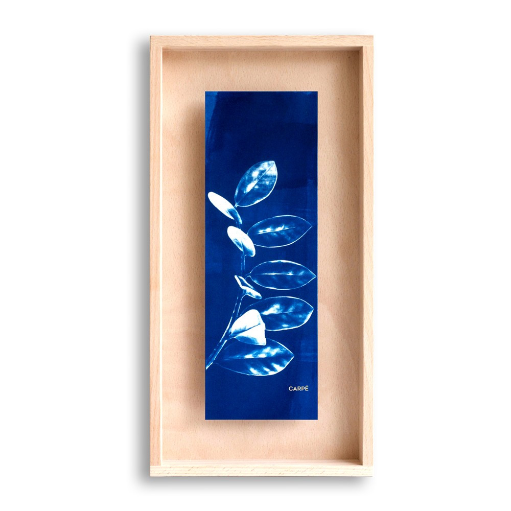 Cadre en bois cyanotype plante 40x20cm Cadre en bois cyanotype plante 40x20cm