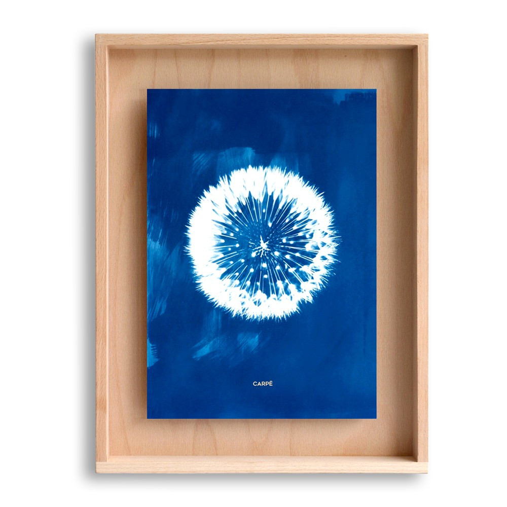 Cadre en bois cyanotype pissenlit 40x30cm Cadre en bois cyanotype pissenlit 40x30cm