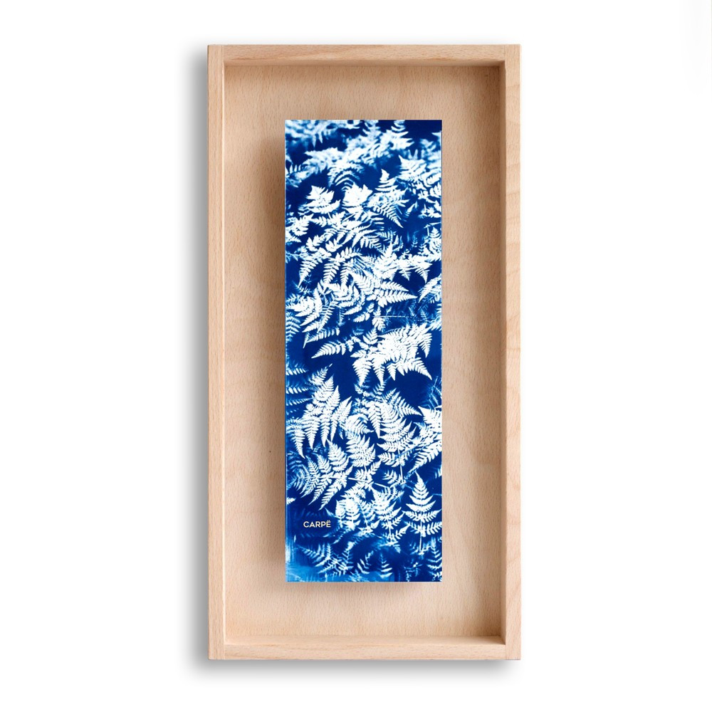 Cadre en bois cyanotype fougères 40x20cm Cadre en bois cyanotype fougères 40x20cm