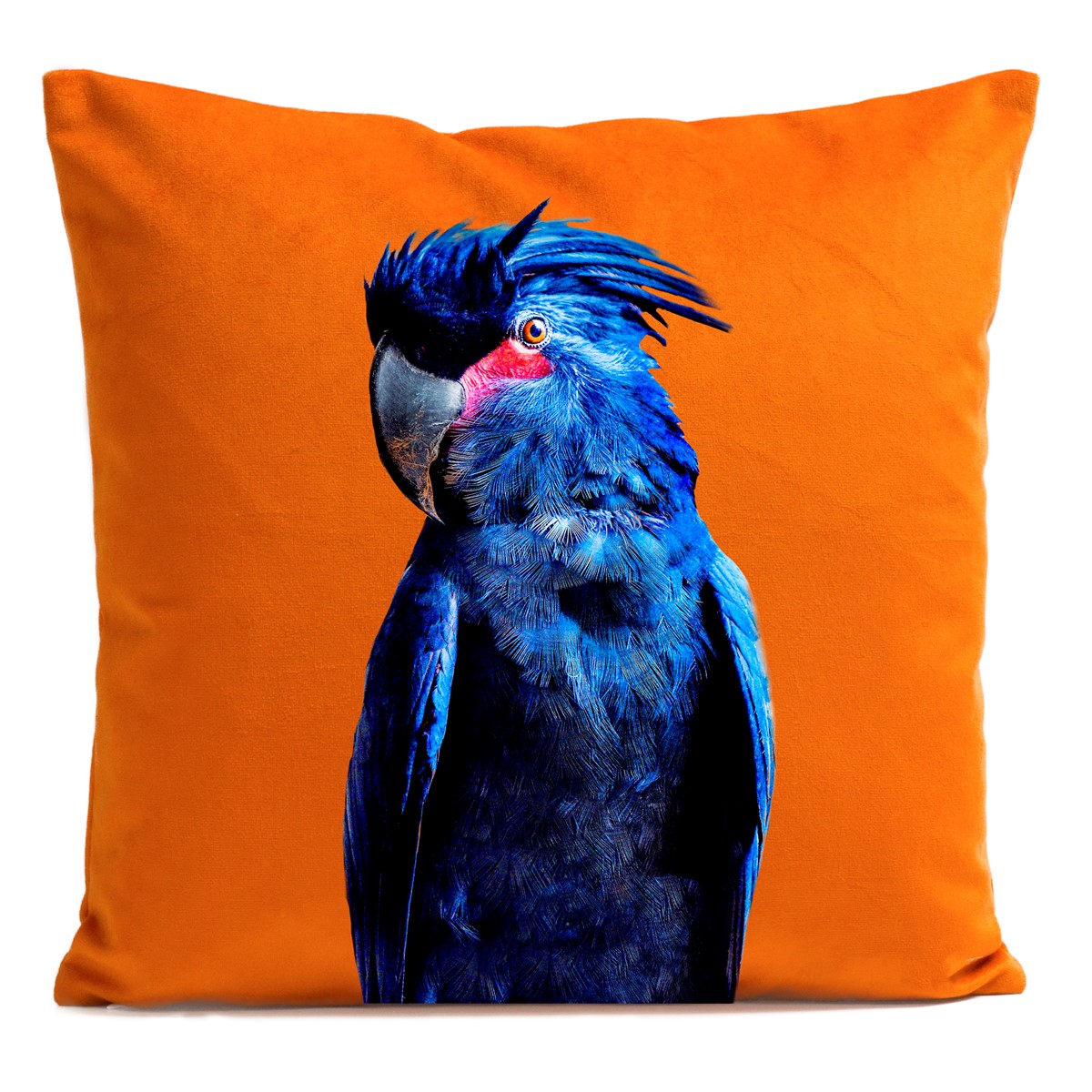 Coussin velours carré imprimé animaux orange vif 60x60 Coussin velours carré imprimé animaux orange vif 60x60
