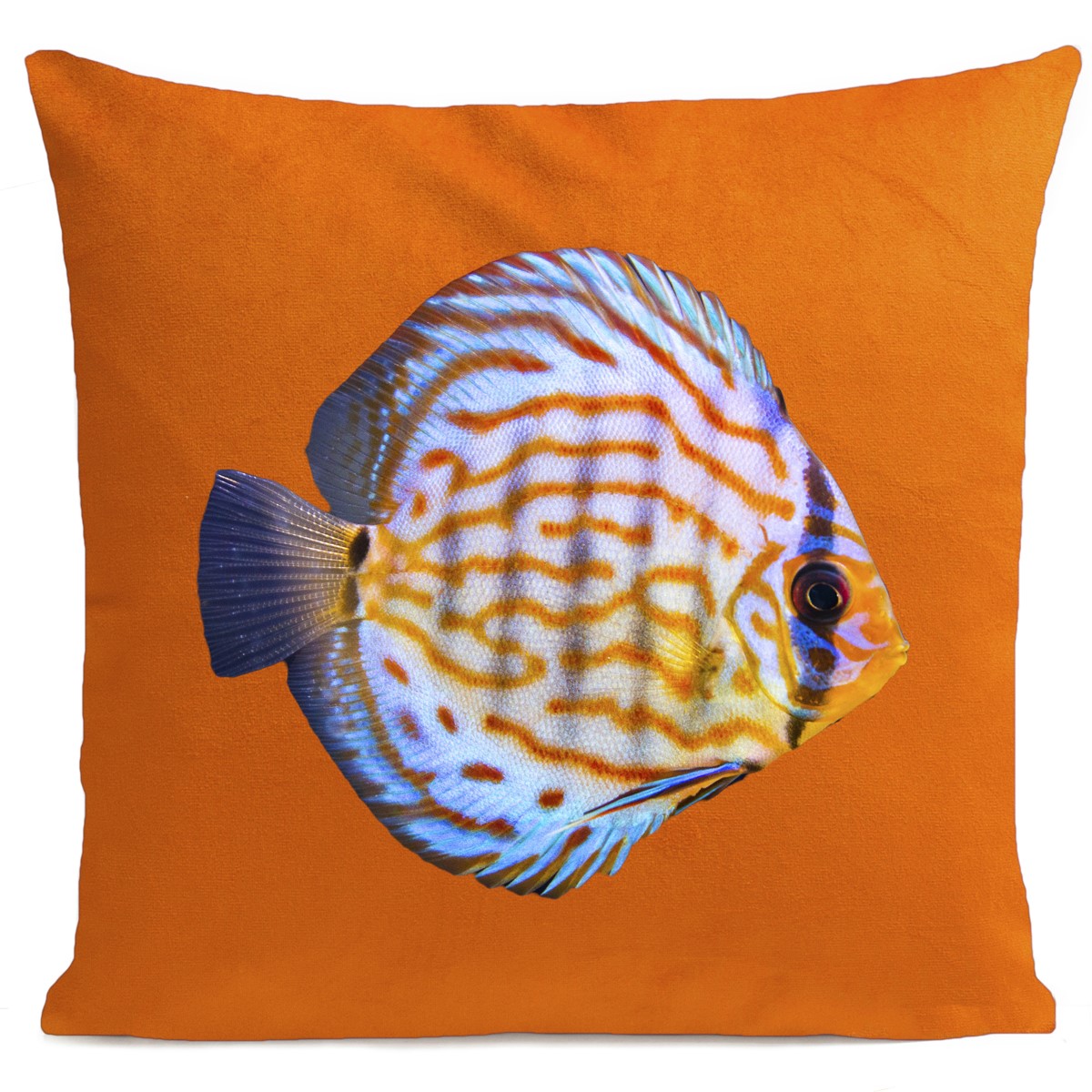 Coussin Poisson Miss Orange Velours 60x60cm Coussin Poisson Miss Orange Velours 60x60cm