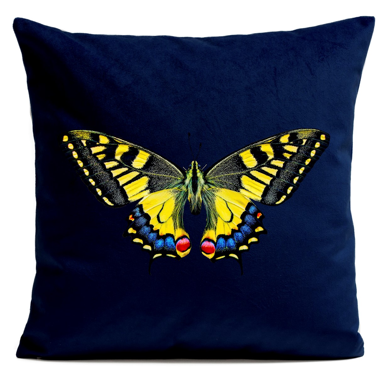 Coussin velours carré imprimé papillons bleu foncé 40x40 Coussin velours carré imprimé papillons bleu foncé 40x40