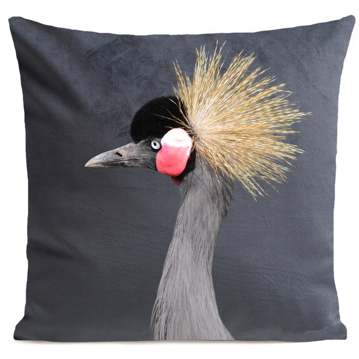 Coussin velours carré imprimé animaux gris moyen 40x40 Coussin velours carré imprimé animaux gris moyen 40x40