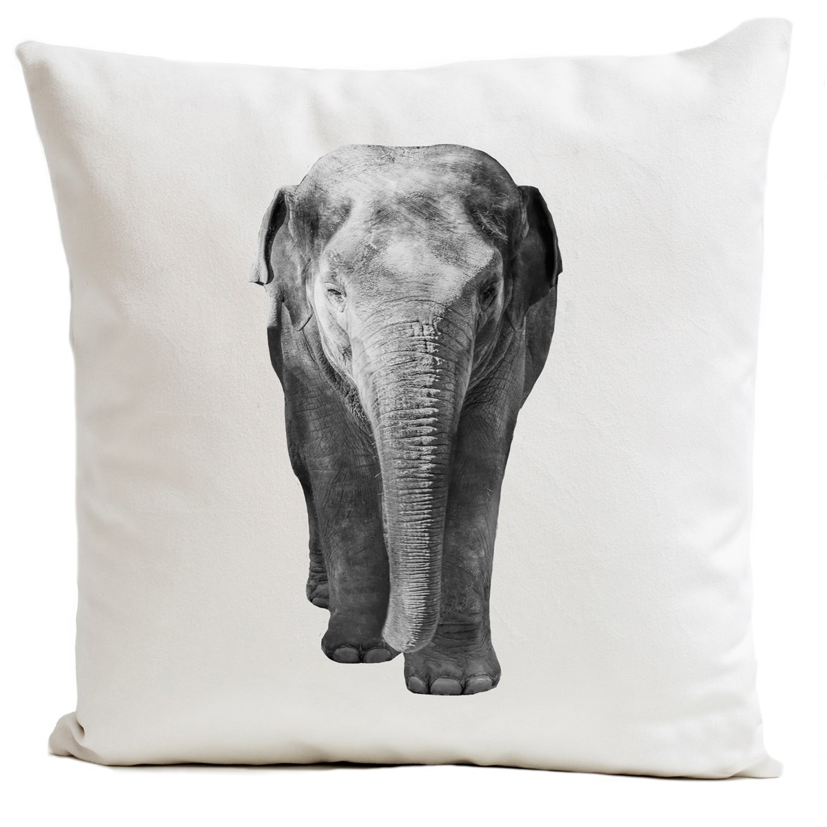 Coussin velours carré imprimé animaux blanc 60x60 (photo) Coussin velours carré imprimé animaux blanc 60x60