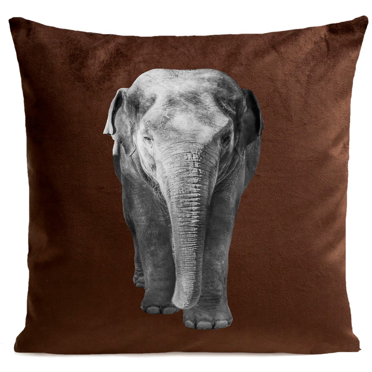 Coussin Elephant Velours 40x40cm Coussin Elephant Velours 40x40cm
